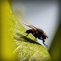 /album/pertidacont/photolia-a04-jpg/