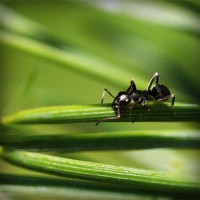 /album/pertidacont/photolia-a05-jpg/