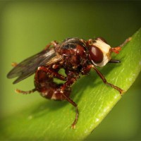 /album/pertidacont/photolia-a06-jpg/