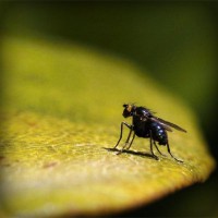/album/pertidacont/photolia-a07-jpg/