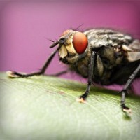 /album/pertidacont/photolia-a08-jpg/